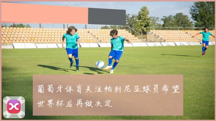 葡萄牙体育关注帕利尼亚球员希望世界杯后再做决定